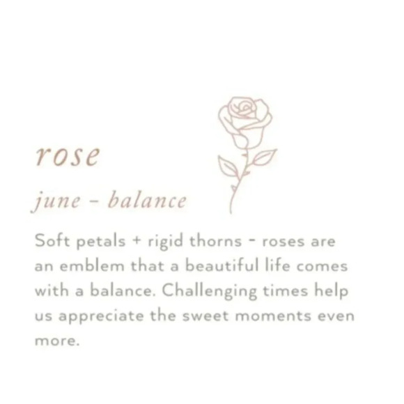 June Rose Bohemian Birth Flower Charm Necklace - Picture 7 of 11